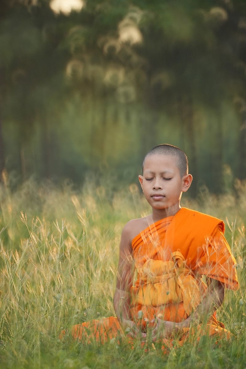 Mindfulness Outdoors